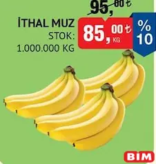 İTHAL MUZ KG